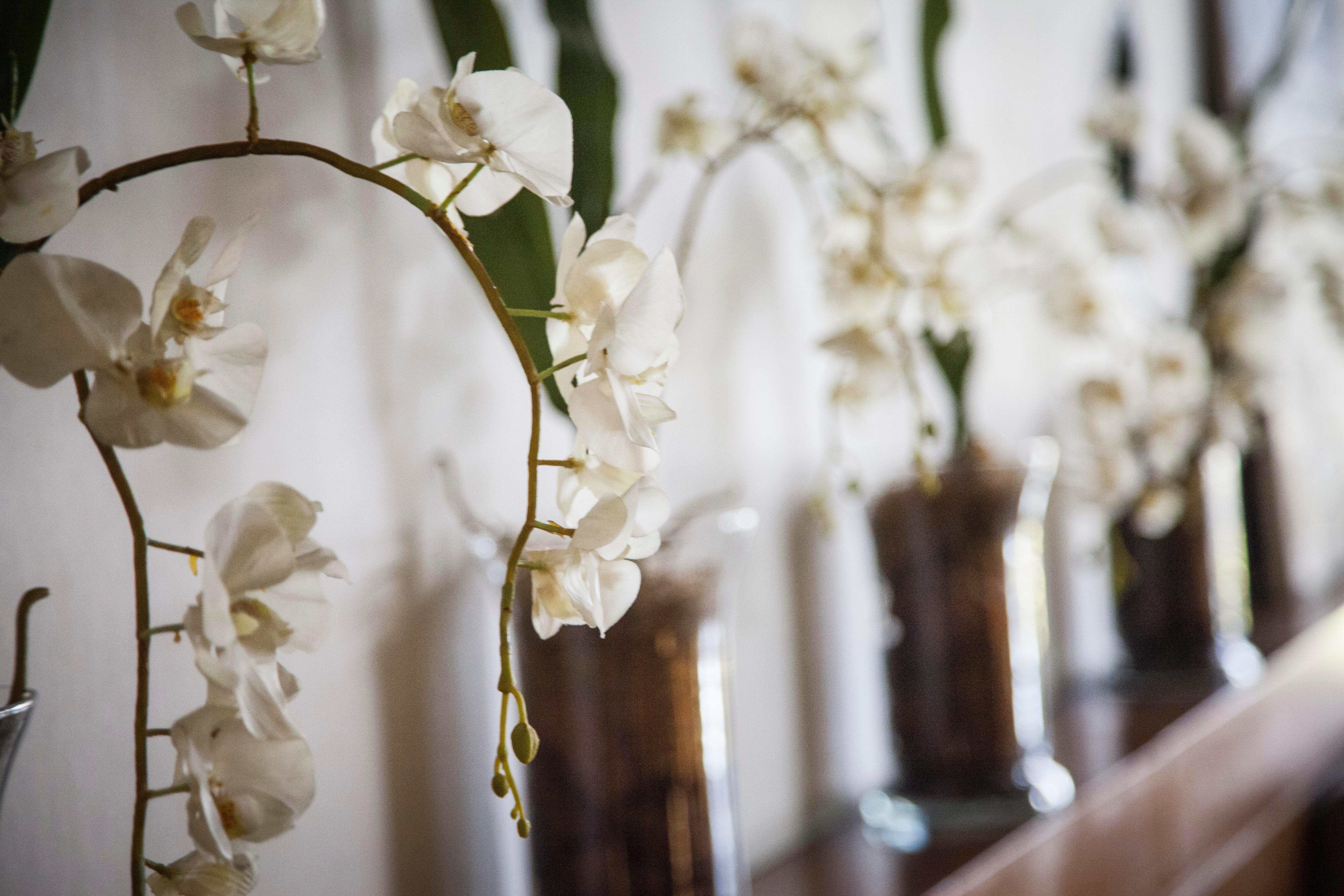 El Conquistador Hotel Buenos Aires Ngoại thất bức ảnh